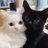Lagertha_49