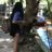 Monkyes_ar