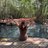 Yesenia14148438
