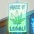 rolalachora